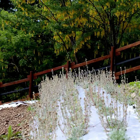 Agriturismo A Nostro Mizoun-3